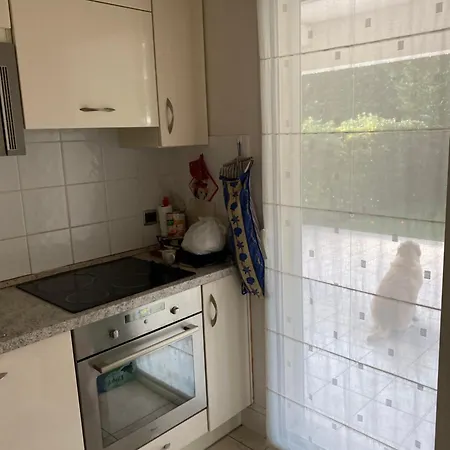 Apartment Superbe Bord De Avec Piscine Cannes